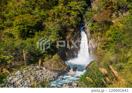【静岡県】オクシズ・梅ケ島地区の赤水の滝・虹 120091641