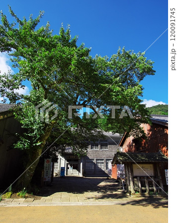 夏の若狭鯖街道　熊川宿資料館　宿場館 120091745