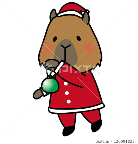 サンタの衣装でクリスマスの飾りつけをするカピバラ 120091823