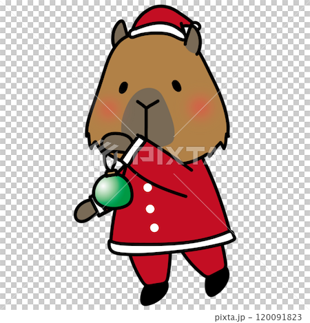 サンタの衣装でクリスマスの飾りつけをするカピバラ 120091823