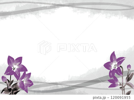 桔梗の墨絵イラストテンプレート 桔梗の墨絵イラストテンプレート 120091955