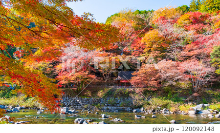 香嵐渓（秋） 120092148