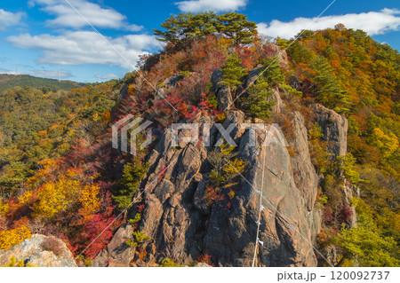 二ツ箭山の紅葉 120092737