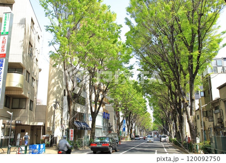 阿佐ヶ谷駅 中杉通り 阿佐ヶ谷駅 中杉通り 120092750