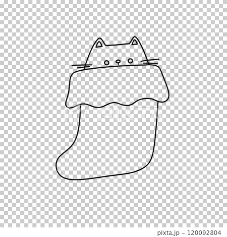 A cat is peeking out of a stocking 120092804