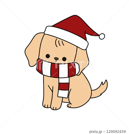 A dog is wearing a red and white scarf and a red hat A dog is wearing a red and white scarf and a red hat 120092839