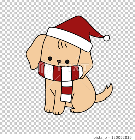 A dog is wearing a red and white scarf and a red hat A dog is wearing a red and white scarf and a red hat 120092839