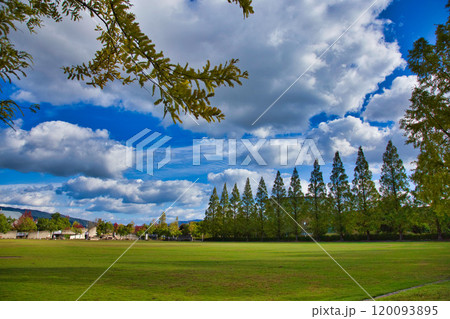 紅葉を迎えた市立美術館 120093895