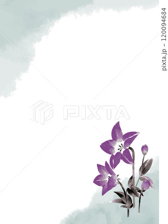 桔梗の墨絵イラストテンプレート 120094684