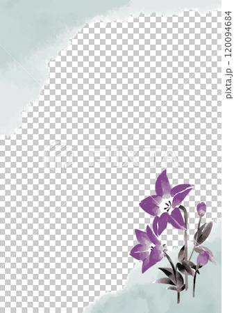 桔梗の墨絵イラストテンプレート 120094684
