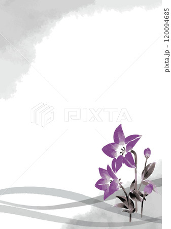桔梗の墨絵イラストテンプレート 120094685