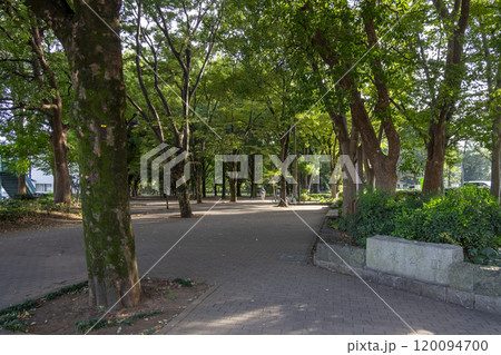【芦花公園】入口 (東京都世田谷区粕谷 環状八号線側) 【芦花公園】入口 (東京都世田谷区粕谷 環状八号線側) 120094700
