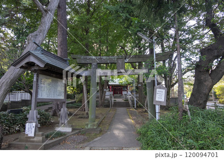 芦花公園に隣接している【粕谷八幡神社】(東京都世田谷区粕谷) 芦花公園に隣接している【粕谷八幡神社】(東京都世田谷区粕谷) 120094701