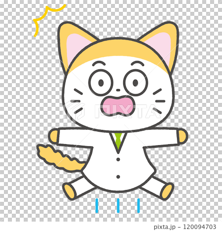 驚く猫のお医者さん　アイコン　イラスト　キャラクター 120094703