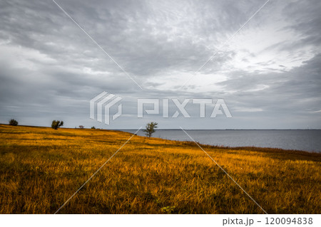 A yellow fall field 120094838