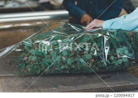 花卉農家の出荷作業 120094917