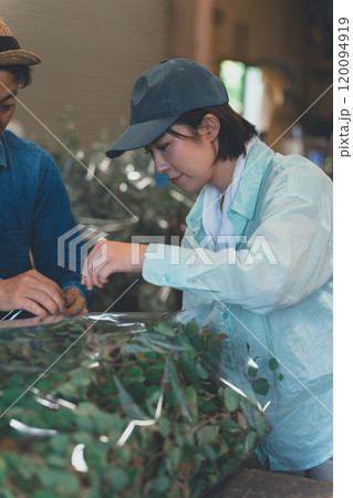 花卉農家の出荷作業 120094919