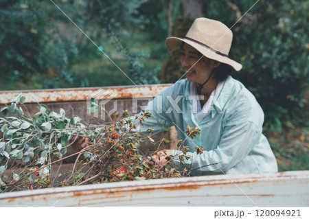 剪定枝を軽トラの荷台に集める女性 120094921