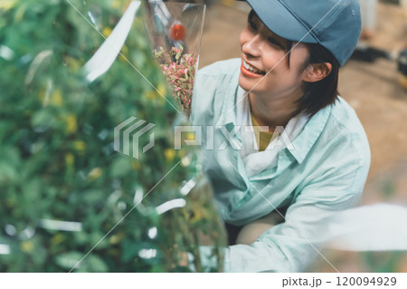 花き農家の出荷作業 120094929