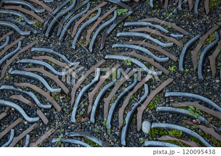 越前陶芸村の秋 120095438