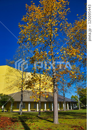 越前陶芸村の秋 120095443