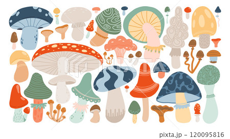 Colorful array of whimsical mushrooms in various shapes and sizes. Perfect for forest-themed designs, botanical prints, and nature-inspired projects. Colorful array of whimsical mushrooms in various shapes and sizes. Perfect for forest-themed designs, botanical prints, and nature-inspired projects. 120095816