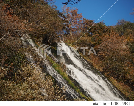 晩秋の北海道知床オシンコシンの滝 120095901