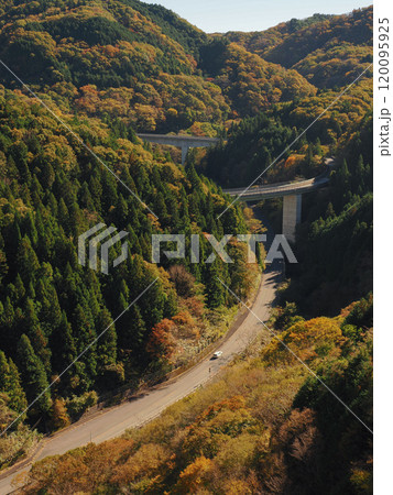 紅葉に包まれた国道 紅葉に包まれた国道 120095925