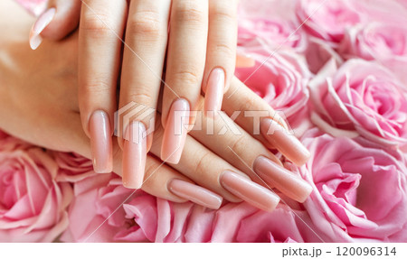 Elegant hands with long, polished nails surrounded by fresh pink roses in a soft, romantic setting 120096314