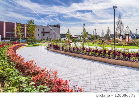 川崎・富士見公園の風景【神奈川県・川崎市】 120096575