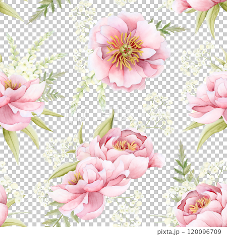 Mothers Day pink peonies, gypsophila and matthiola flowers with leaves watercolor seamless pattern on white. Floral garden roses repeat background for spring wedding design and fabrics 120096709