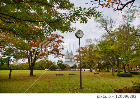 グリーンセンターの秋 120096892