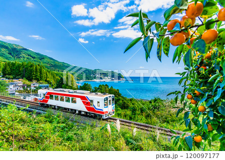 三陸鉄道 秋の三陸海岸を走る列車(吉浜-唐丹) 三陸鉄道 秋の三陸海岸を走る列車(吉浜-唐丹) 120097177
