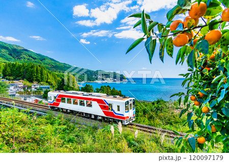 三陸鉄道 秋の三陸海岸を走る列車(吉浜-唐丹) 三陸鉄道 秋の三陸海岸を走る列車(吉浜-唐丹) 120097179
