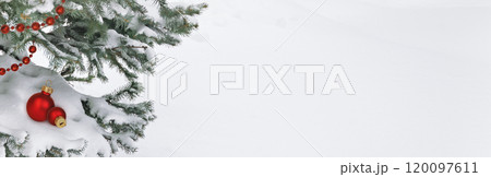 White snow and twigs of green spruce tree with Christmas decorations for holiday background 120097611