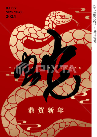 新年 新春 新しい年 120098347