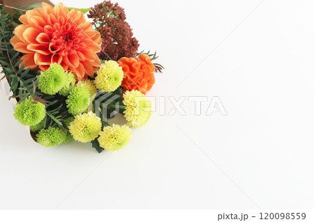 秋のお供え花 120098559