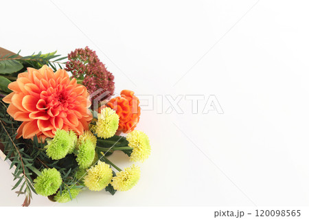 秋のお供え花 120098565