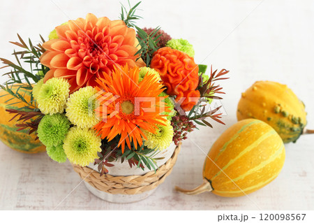 秋のフラワーアレンジ 秋のフラワーアレンジ 120098567