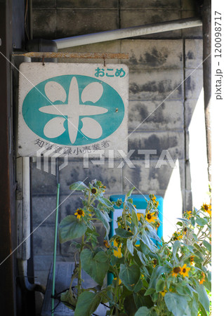 レトロな米屋の看板 レトロな米屋の看板 120098717
