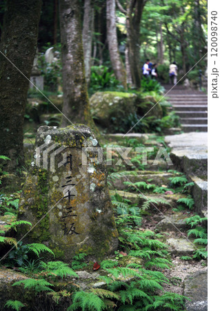寺院の参道 120098740