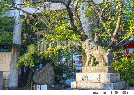 京都 安井金比羅宮 石鳥居 京都 安井金比羅宮 石鳥居 120098852