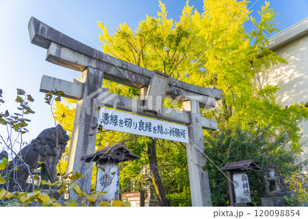 京都 安井金比羅宮 石鳥居 京都 安井金比羅宮 石鳥居 120098854