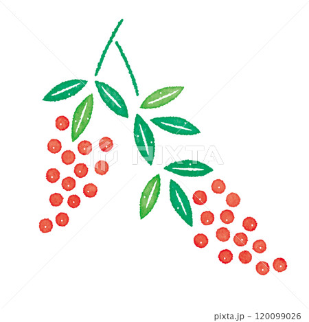 南天の実　赤い実　イラスト 120099026