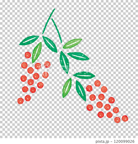 南天の実　赤い実　イラスト 120099026