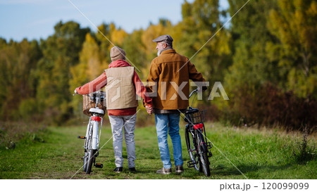 Rear view of elderly couple on a walk in the forest, pushing their bikes side by side. Seniors in love on stroll through autumn nature, enjoying a peaceful moment together. Rear view of elderly couple on a walk in the forest, pushing their bikes side by side. Seniors in love on stroll through autumn nature, enjoying a peaceful moment together. 120099099