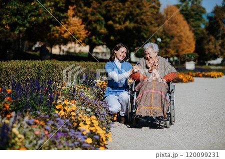 Disabled elderly woman in wheelchair on walk in the park during warm autumn day. Young nurse showing senior woman a flower. Disabled elderly woman in wheelchair on walk in the park during warm autumn day. Young nurse showing senior woman a flower. 120099231