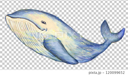 Smiling Whale 120099652