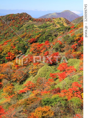 秋の沓掛山(くじゅう連山・大分県九重町・縦構図) 秋の沓掛山(くじゅう連山・大分県九重町・縦構図) 120099745