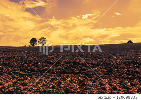 【美瑛町親子の木とトラクター　秋の夕景】 120099835